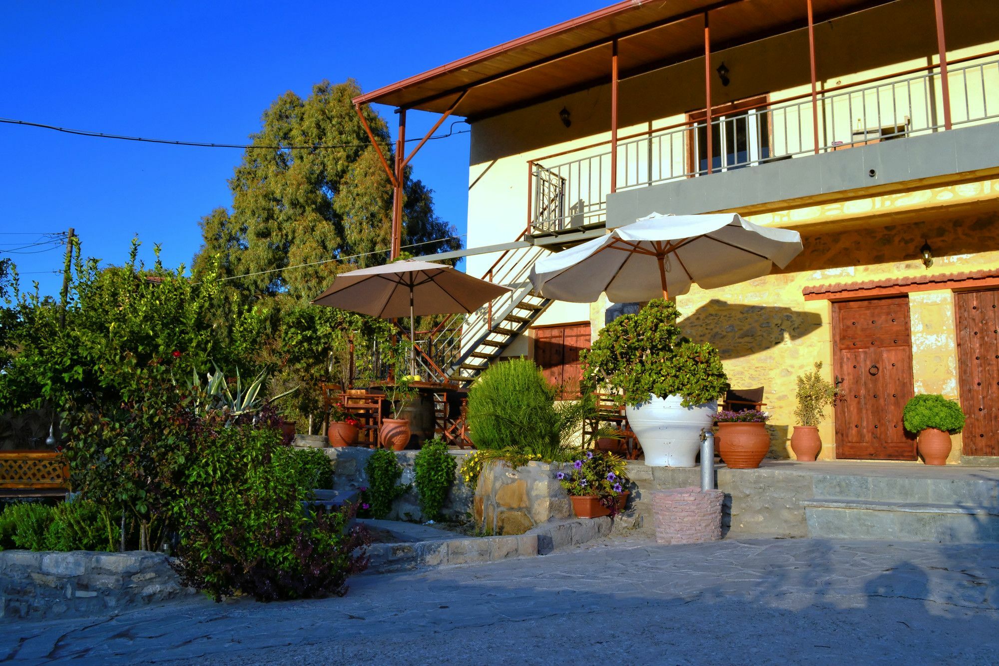 Villa Olive Tree With Private Pool & Jacuzzi Kíssamos Exterior foto